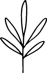 LabCBD - 48 Wild Love Symbol