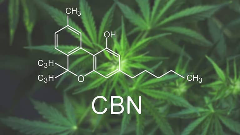 usos terapéuticos del cbn