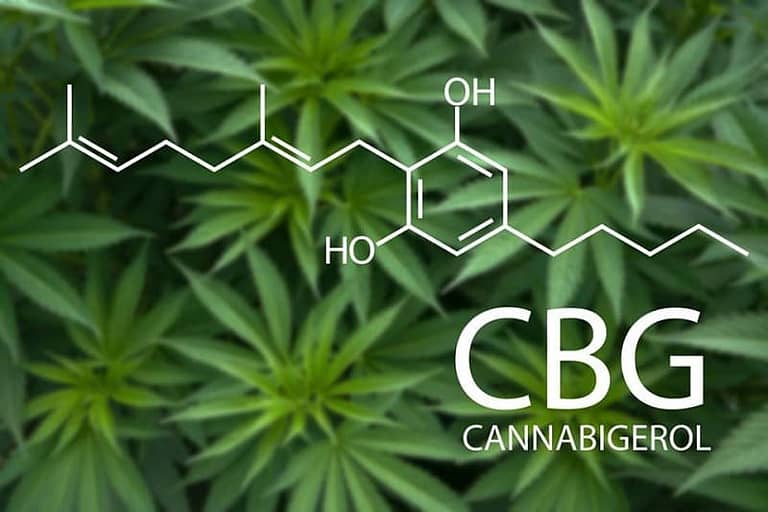 beneficios del cbg