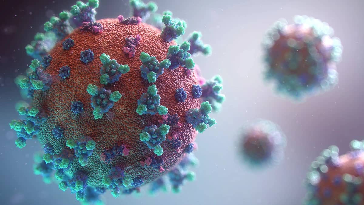 LabCBD - El CBD y la COVID-19, una relación que podría prevenir infecciones 1 El CBD y la COVID-19